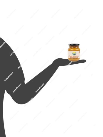 SaborAlsa Salsa Chimichurri 285 gr